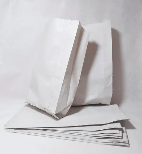 BOLSA PAPEL SULFITO FP N.3 X 100 unidades