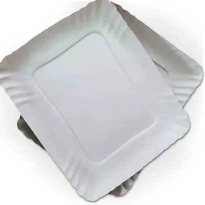 BANDEJA DE CARTON N.2 X 100 UNIDADES