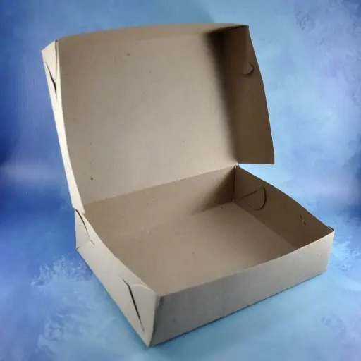 caja de lomo ECO x unidad