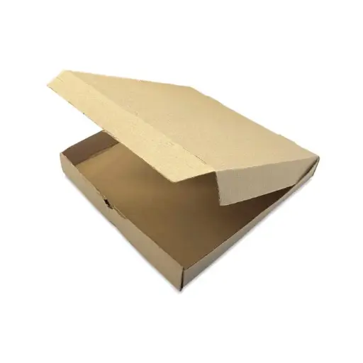 CAJA PIZZA MICRO X UNIDAD