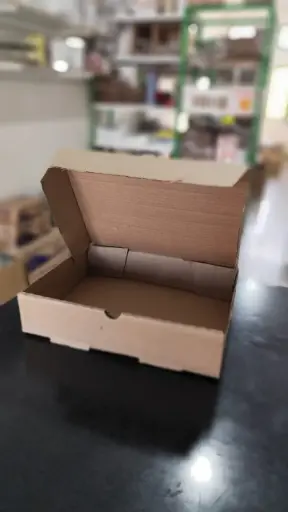 CAJA DELIVERY MICRO X 50 UNIDADES