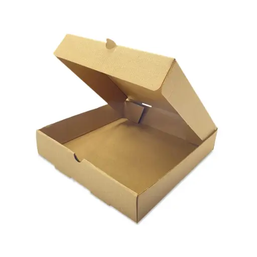 CAJA DELIVERY MICRO x100 UNIDADES